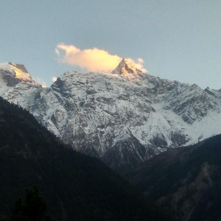 Wanderers Homestay -All Mountain Facing Rooms Kalpa Bagian luar foto