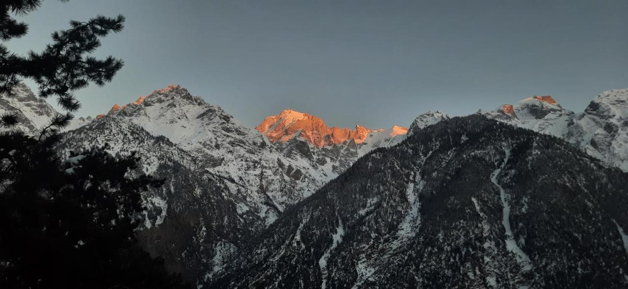 Wanderers Homestay -All Mountain Facing Rooms Kalpa Bagian luar foto