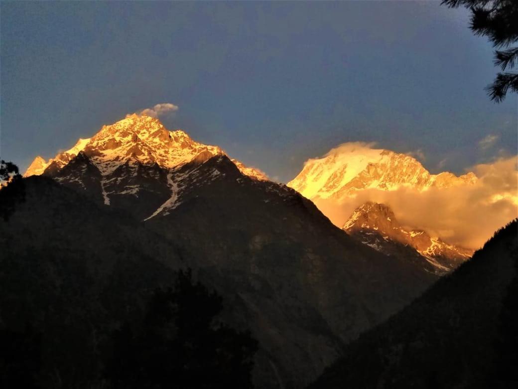 Wanderers Homestay -All Mountain Facing Rooms Kalpa Bagian luar foto